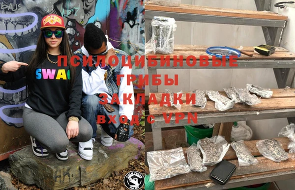 амф Богданович